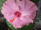 DSCN1117