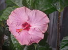 DSCN1119
