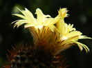DSCN7818