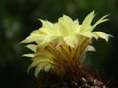 DSCN7840