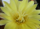 DSCN7858