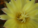 DSCN7860