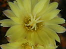DSCN7861
