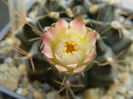 DSCN7873