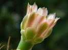 DSCN7876