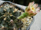 DSCN7883