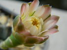 DSCN7884
