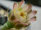 DSCN7885