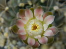 DSCN7892