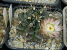 DSCN7895