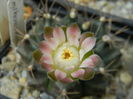 DSCN7898