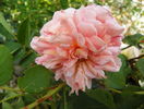 Abraham Darby