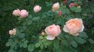 WP_20160722_024