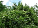 DSC09648
