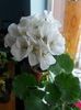 20160630_203839