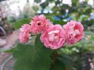 20160720_165755