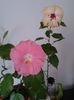 20160726_120050