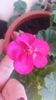 20160724_131252