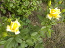 DSCN0928[1]