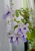 IMG_20160726_142204