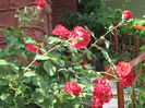 Picture 6577