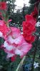 20160716_210557