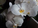 20160727_074003