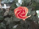 WIN_20160727_062408