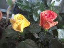 WIN_20160727_062428
