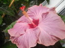 DSCN1118