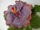 DSC04883