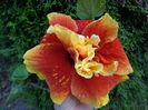 DSC05015