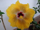 DSC05000