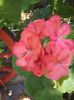 IMG_20160727_135821