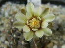 DSCN7927
