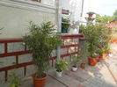 DSCN0965[1]