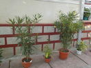 DSCN0966[1]