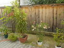 DSCN0970[1]