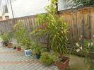 DSCN0968[1]