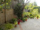 DSCN0972[1]