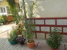 DSCN0967[1]