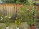 DSCN0969[2]