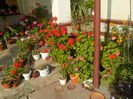 DSCN0974[2]