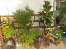 DSCN0976[1]