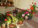 DSCN0979[1]