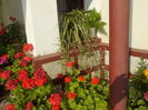 DSCN0978[1]