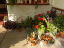DSCN0980[1]