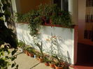 DSCN0981[1]