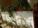 DSCN0982[1]