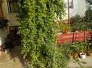 DSCN0984[1]